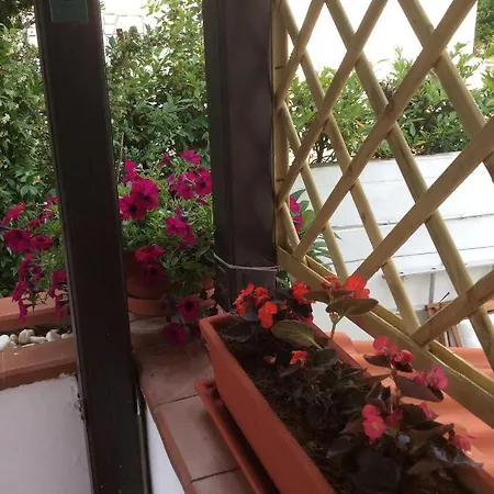 Martha's Villa *